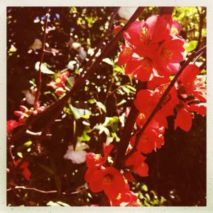 photo[1]