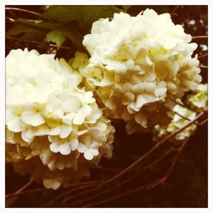 photo[14]