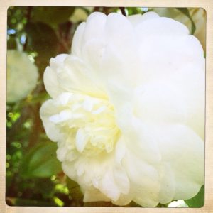 photo[2]