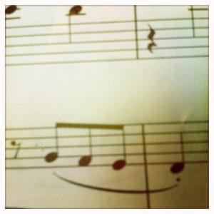 photo[6]
